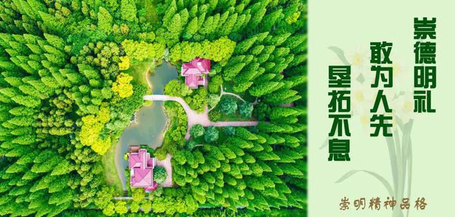 夏季供水高峰，崇明这样做！(图5)