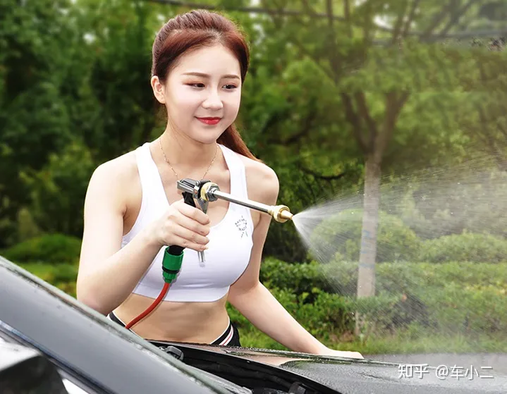 家用洗车机有必要买吗，哪个牌子好？「618精选」亿力—绿田—指南车—卡赫—杰诺等家用洗车机品牌推荐(图45)