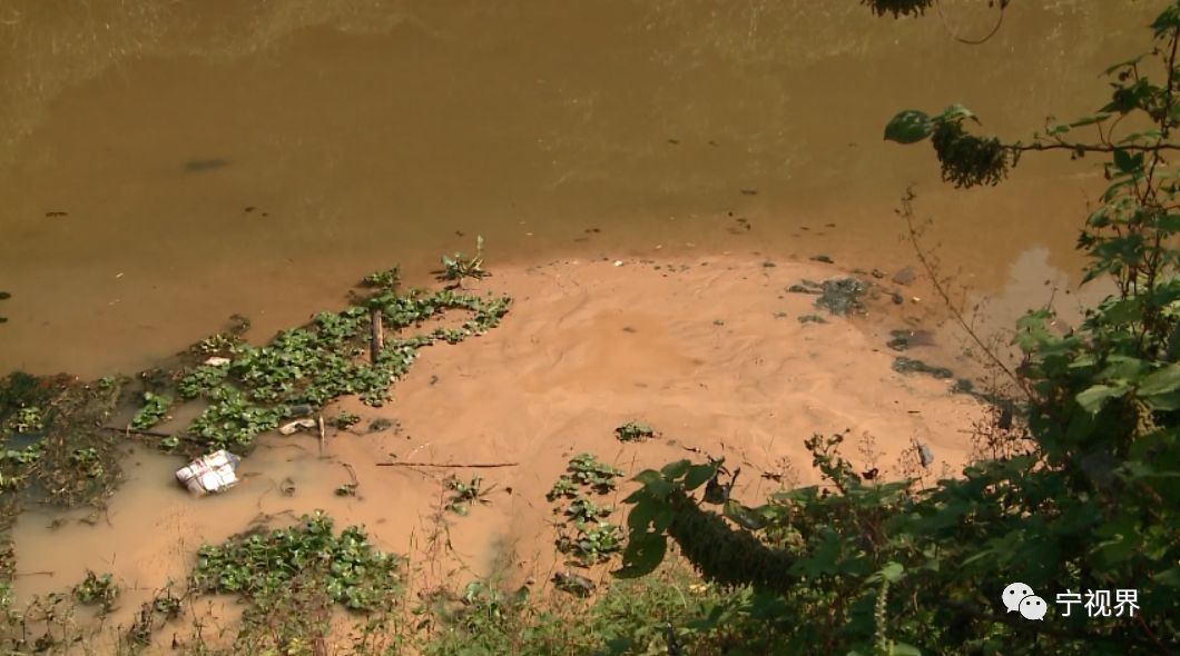 东湖塘镇一非法洗砂场顶风作案，坚决彻底取缔！(图10)
