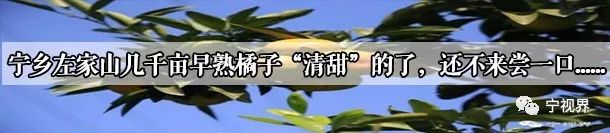 东湖塘镇一非法洗砂场顶风作案，坚决彻底取缔！(图15)