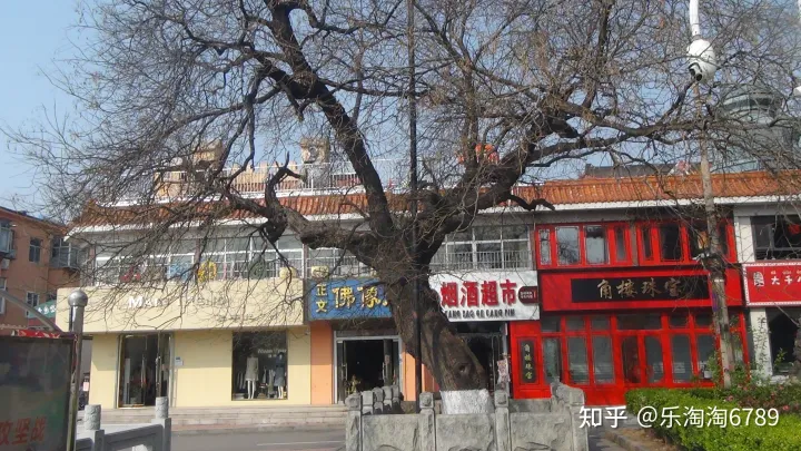 泰安：它是“皇城根里第一条街”，是泰安最繁华老街之一，如今还残存些许影子，现却几无人知！(图9)