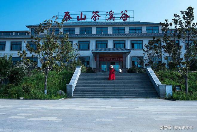 我为泰安老字号代言（六）—泰山茶溪谷•茶溪谷农业发展有限公司(图1)