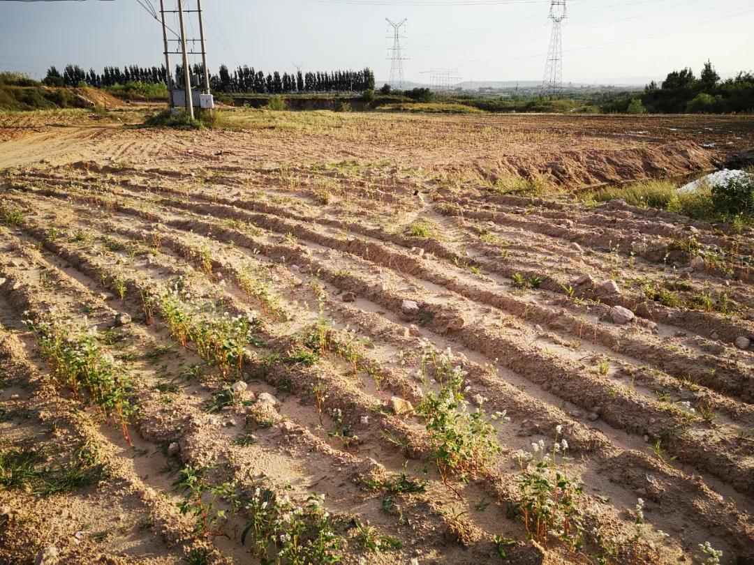 最高检发布检察公益诉讼起诉典型案例(图29)