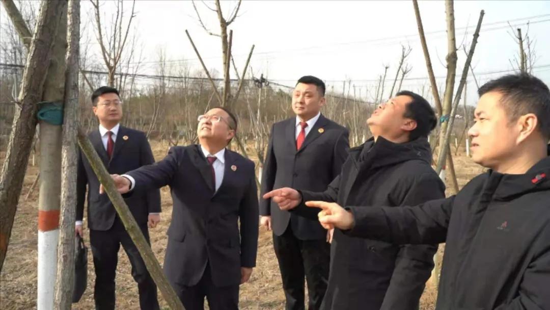 最高检发布检察公益诉讼起诉典型案例(图31)