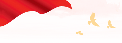 【爱安海】2020年安海实现防疫和发展双胜利(图4)