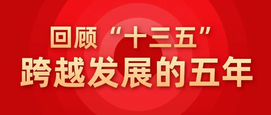 【爱安海】2020年安海实现防疫和发展双胜利(图19)
