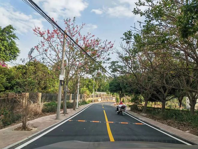 投资250多万元！惠安这个村：乡村道路“白改黑”乡村振兴“添新颜”(图2)