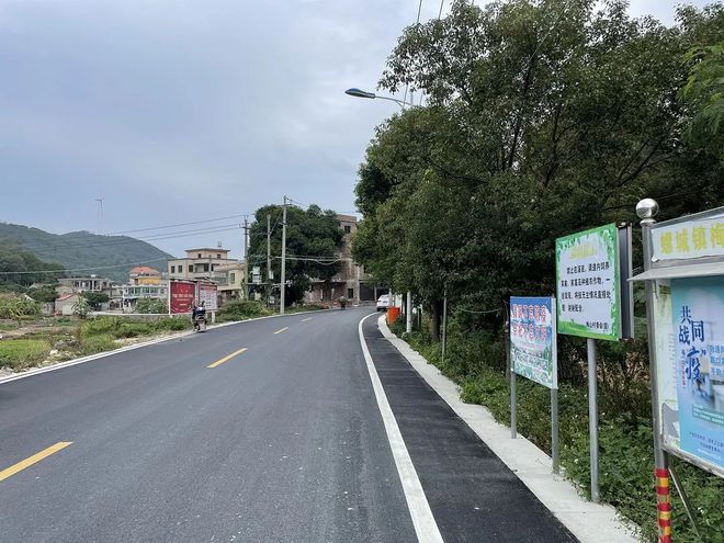 投资250多万元！惠安这个村：乡村道路“白改黑”乡村振兴“添新颜”(图4)