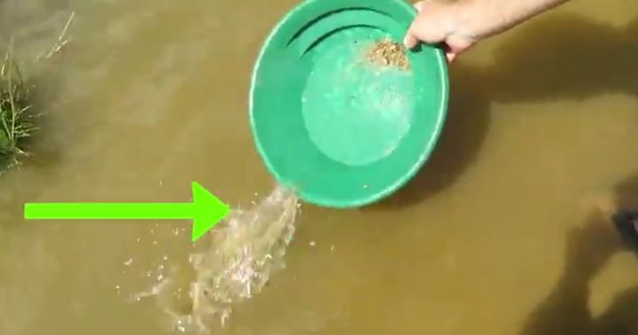 如何使用洗金盆淘金(图22)
