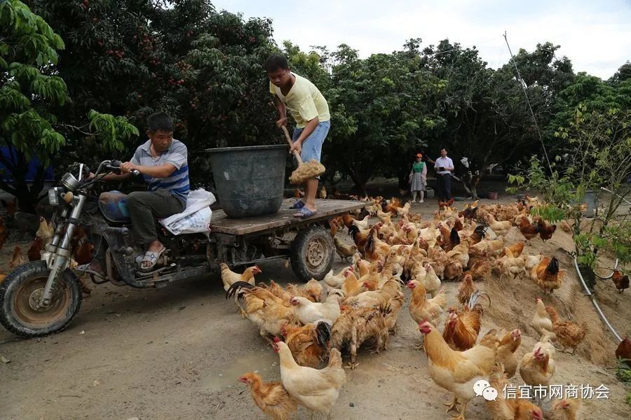 信宜这几个利民项目要来了，总投资达6.52亿！(图14)