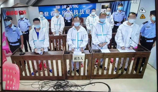 紧揪整治“牛鼻子”让黑恶势力无处生根——梧州市深化四大行业领域整治助推常态化扫黑除恶(图6)