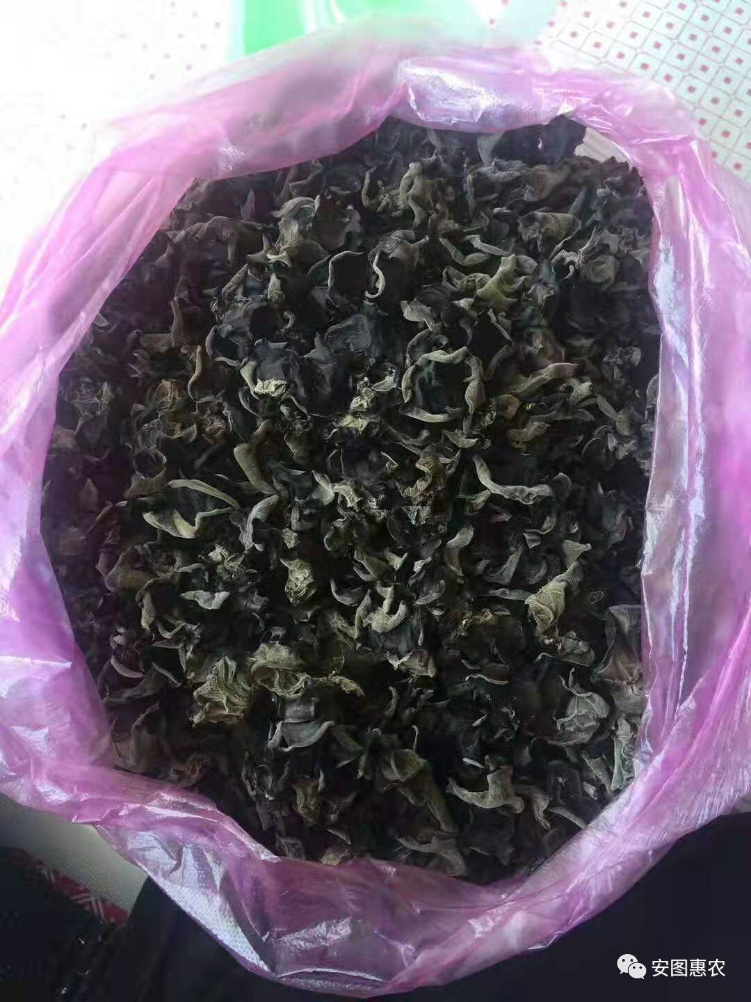 【供求信息】综合(11.11)如您需要发布供求信息，请在文章下方留言(图8)