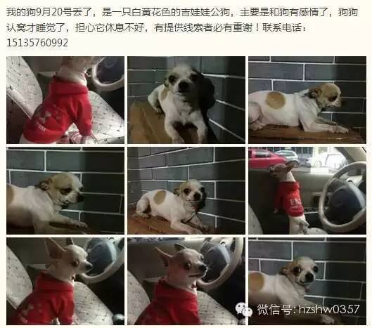 【便民】最新招聘、求职、出租、求租、出售、求购、二手、其它等信息(图3)