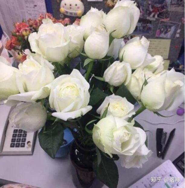 昆明斗南花市营业时间、春节营业时间、斗南花市地址、旅游攻略(图11)