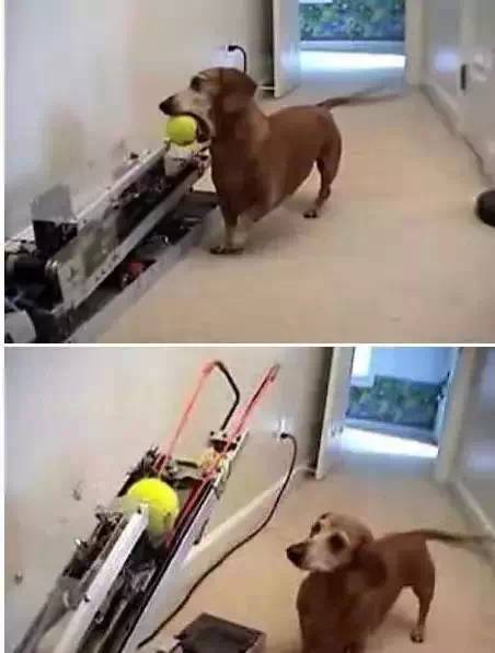 全球最奇葩的发明，有些发明让人无语!(图11)