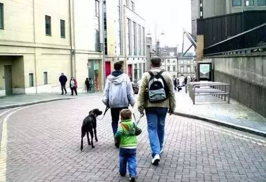 全球最奇葩的发明，有些发明让人无语!(图5)