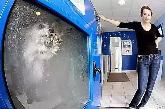 全球最奇葩的发明，有些发明让人无语!(图8)