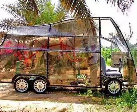 全球最奇葩的发明，有些发明让人无语!(图25)